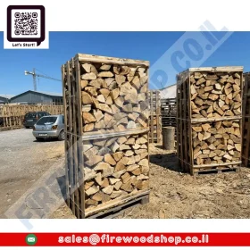 Olive Wood In Large Pallet Wooden Box With Dried Timber Hardwood Logs 10-20% Moisture Kiln Dried Firewood Hardwood Logs Timberעץ זית בקופסת עץ גדולה משטחים עם בולי עץ קשיחים 10-20% לחות