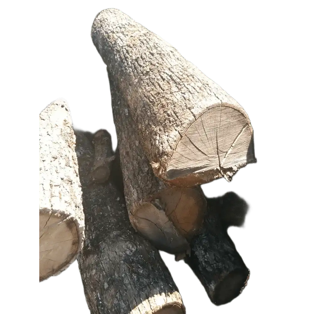 OAK FIREWOOD ROUNG LOGS | КРУГЛІ ДРОВА НЕОБРІЗАНІ 100+ СМ | СУХІ ДРОВА 1 МЕТР, КРУГЛЯКИ | ПИЛОМАТЕРІАЛИ | KILN DRIED FIREWOOD LOGS, ONYX MARBLE SLABS NATURAL STONES Wholesale Round Firewood Uncut Oak Firewood Roung Logs