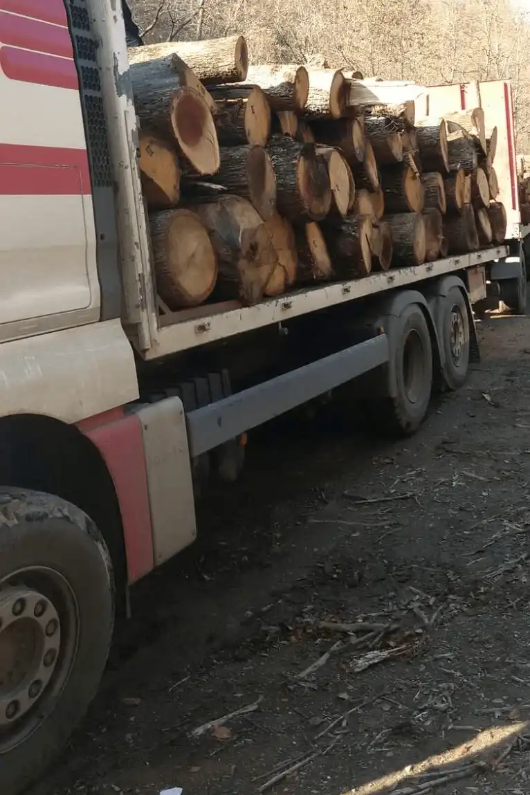 TRUCK LOAD FIREWOOD ROUND LOGS OAK | ΠΛΉΡΕΣ ΔΟΧΕΊΟ 40'HC ΜΕ ΜΕΓΆΛΑ ΚΙΒΏΤΙΑ ΑΠΟΞΗΡΑΜΈΝΑ ΚΑΥΣΌΞΥΛΑ ΚΑΙ ΔΊΧΤΥΑ ΦΟΡΤΩΜΈΝΑ ΠΆΝΩ ΑΠΌ ΤΑ ΚΟΥΤΙΆ ΠΑΛΕΤΏΝ ΚΑΛΥΤΕΡΗ ΤΙΜΗ | ΕΣΤΙΑΤΌΡΙΑ ΓΙΑ ΜΠΆΡΜΠΕΚΙΟΥ ΜΕ ΞΥΛΌΞΥΛΑ ΑΠΟΞΗΡΑΜΈΝΑ ΣΕ ΦΟΎΡΝΟ ΨΗΣΤΑΡΙΆ 2024 Truck Load Firewood Round Logs Oak