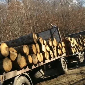 Truck with Firewood Round Logs Oak