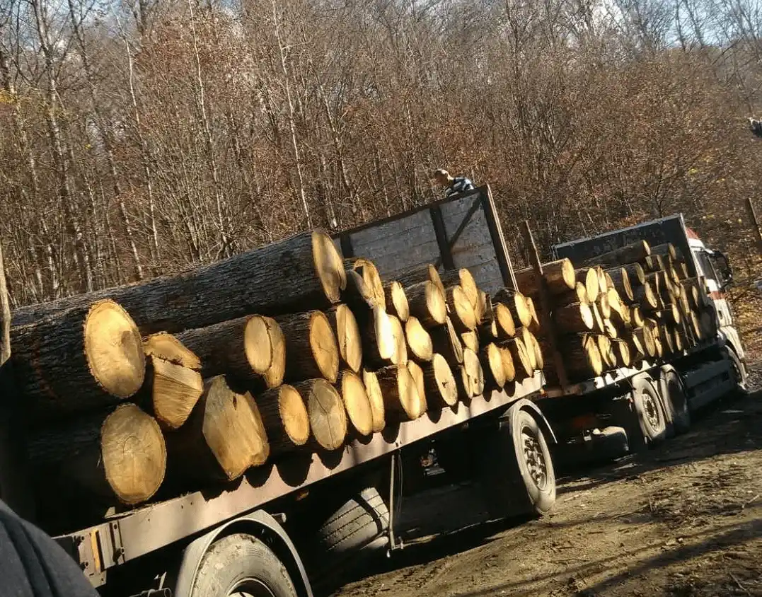 TRUCK WITH FIREWOOD ROUND LOGS OAK 1 | ΠΛΉΡΕΣ ΔΟΧΕΊΟ 40'HC ΜΕ ΜΕΓΆΛΑ ΚΙΒΏΤΙΑ ΑΠΟΞΗΡΑΜΈΝΑ ΚΑΥΣΌΞΥΛΑ ΚΑΙ ΔΊΧΤΥΑ ΦΟΡΤΩΜΈΝΑ ΠΆΝΩ ΑΠΌ ΤΑ ΚΟΥΤΙΆ ΠΑΛΕΤΏΝ ΚΑΛΥΤΕΡΗ ΤΙΜΗ | ΕΣΤΙΑΤΌΡΙΑ ΓΙΑ ΜΠΆΡΜΠΕΚΙΟΥ ΜΕ ΞΥΛΌΞΥΛΑ ΑΠΟΞΗΡΑΜΈΝΑ ΣΕ ΦΟΎΡΝΟ ΨΗΣΤΑΡΙΆ 2024 Truck With Firewood Round Logs Oak