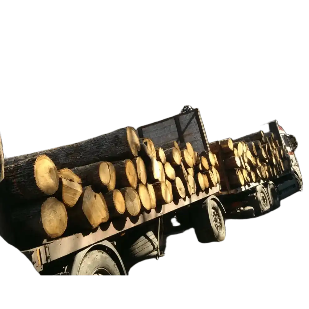 TRUCK WITH FIREWOOD ROUND LOGS OAK | ΠΛΉΡΕΣ ΔΟΧΕΊΟ 40'HC ΜΕ ΜΕΓΆΛΑ ΚΙΒΏΤΙΑ ΑΠΟΞΗΡΑΜΈΝΑ ΚΑΥΣΌΞΥΛΑ ΚΑΙ ΔΊΧΤΥΑ ΦΟΡΤΩΜΈΝΑ ΠΆΝΩ ΑΠΌ ΤΑ ΚΟΥΤΙΆ ΠΑΛΕΤΏΝ ΚΑΛΥΤΕΡΗ ΤΙΜΗ | ΕΣΤΙΑΤΌΡΙΑ ΓΙΑ ΜΠΆΡΜΠΕΚΙΟΥ ΜΕ ΞΥΛΌΞΥΛΑ ΑΠΟΞΗΡΑΜΈΝΑ ΣΕ ΦΟΎΡΝΟ ΨΗΣΤΑΡΙΆ 2024 Truck With Firewood Round Logs Oak